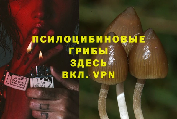 винт Алексеевка