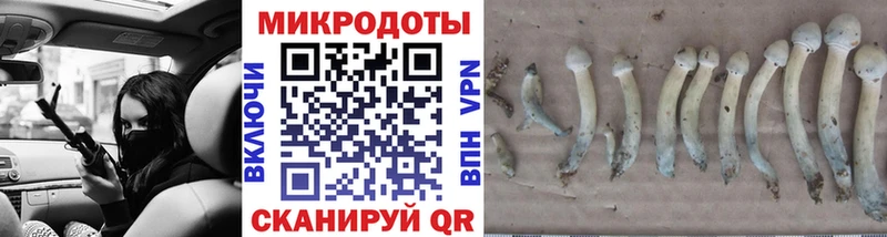 даркнет какой сайт  Нестеров  Псилоцибиновые грибы GOLDEN TEACHER 